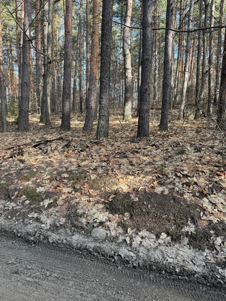 Парцел - с. Долни Пасарел, София град
