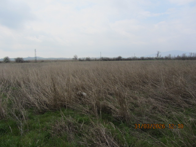 Земеделски имот - с. Малко Чочовени, Сливен – photo 3