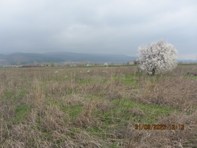 Земеделски имот - с. Малко Чочовени, Сливен – photo 4