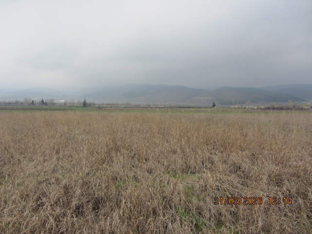 Земеделски имот - с. Малко Чочовени, Сливен – photo 7