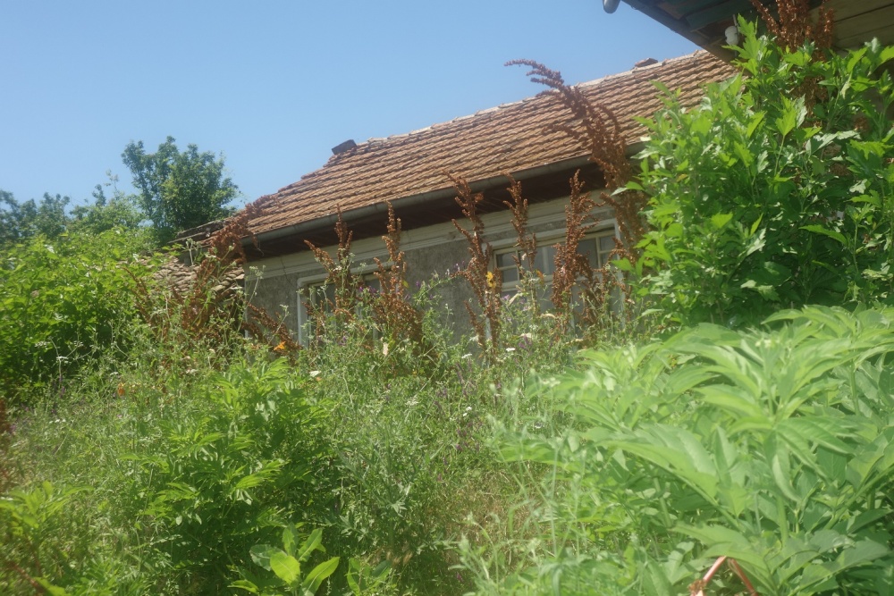 Парцел с къща - с. Родина, Велико Търново – photo 5
